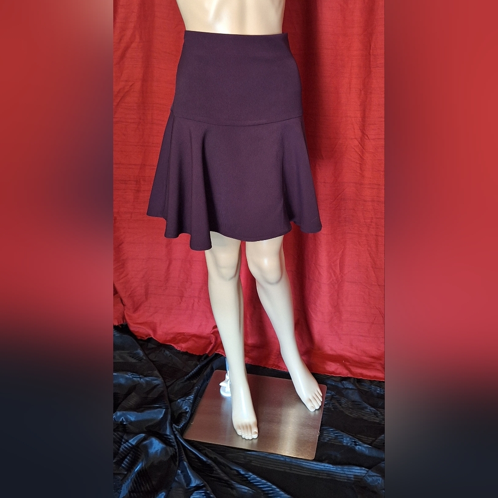 LOFT/ PURPLE FLARE SKIRT/ SIZE :10